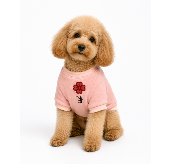 Köpek Sweater