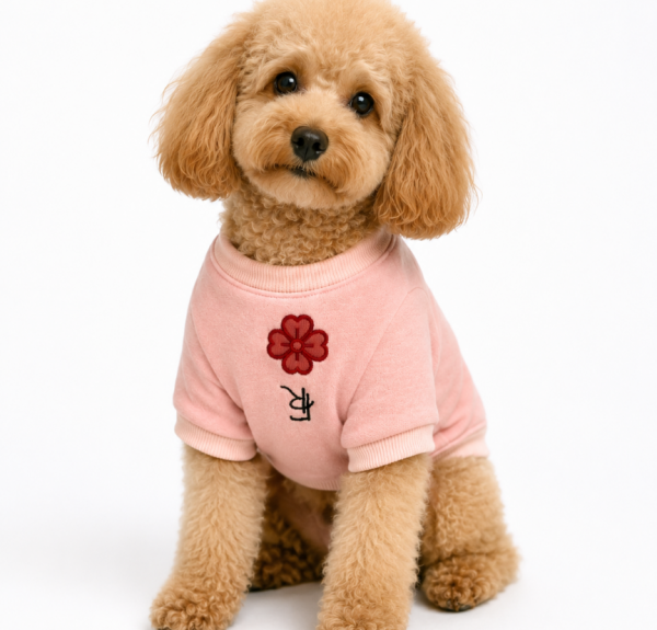 Köpek Sweater