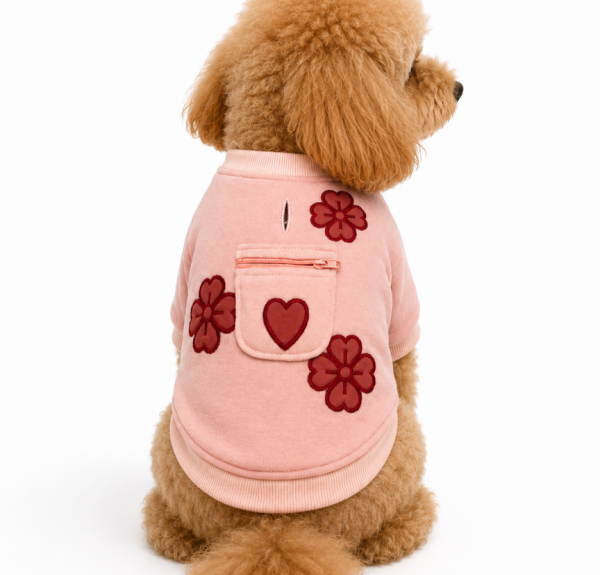 Köpek Sweater